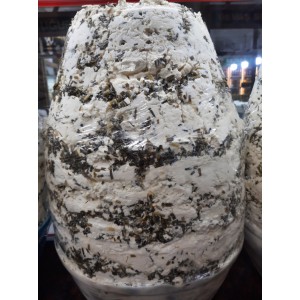 Otlu Koyun Küp Peynir 1 Kg